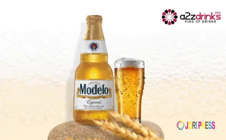 The Complete Guide To Modelo Beer: History, Taste, And Pairings
