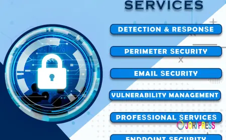 Data Security & Network Services in Jaipur – Ensuring Safe Digital Growth