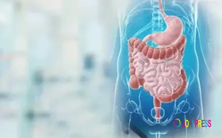 How Modern Gastro Care Hospitals in Coimbatore Are Changing Digestive Health Treatment