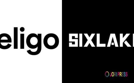 Celigo NetSuite Integration Services | SixLakes Consulting