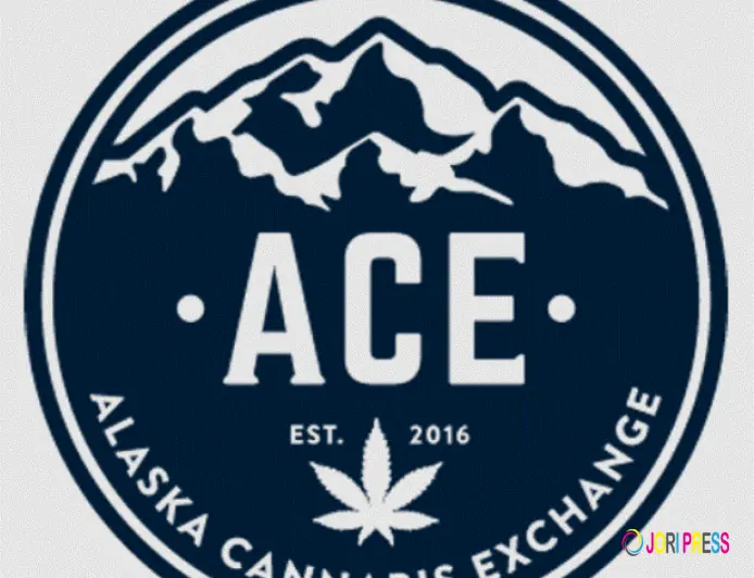 Alaska Cannabis Exchange Highlights the Changing Landscape of Cannabis Retail in Anchorage