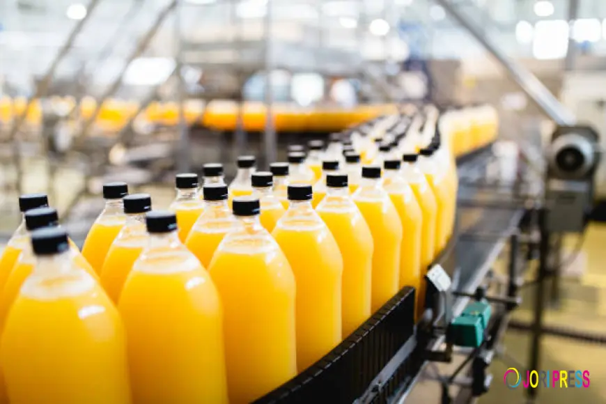 The Future of the Beverage Packaging Market: Innovation, Sustainability & Growth Trends