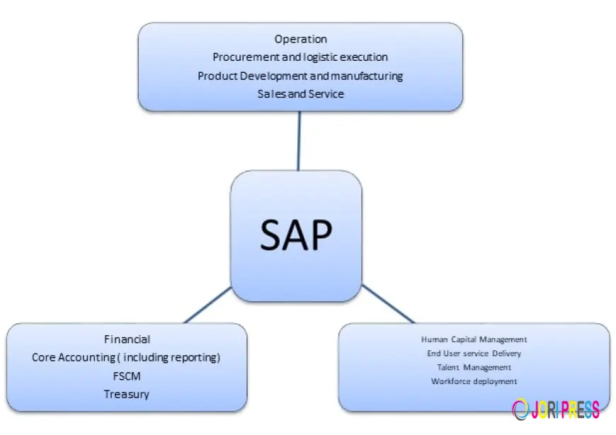 How SAP Bookkeeping Services Help Large Teams Stay Audit-Ready