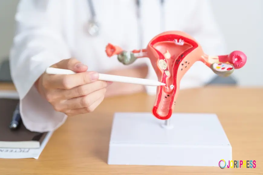 Uterine & Pelvic Treatment Columbus | 360 Vascular Institute