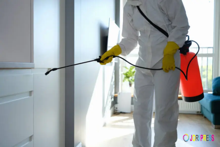 Your Home Deserves the Best Pest Exterminator Perth Has to Offer
