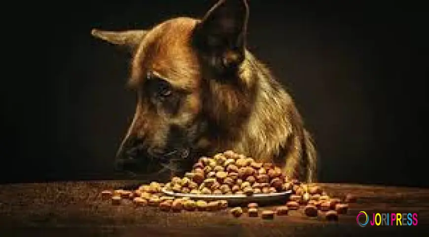 Get Pure Organic Treats and Chemical-Free Formulas for Your Pet