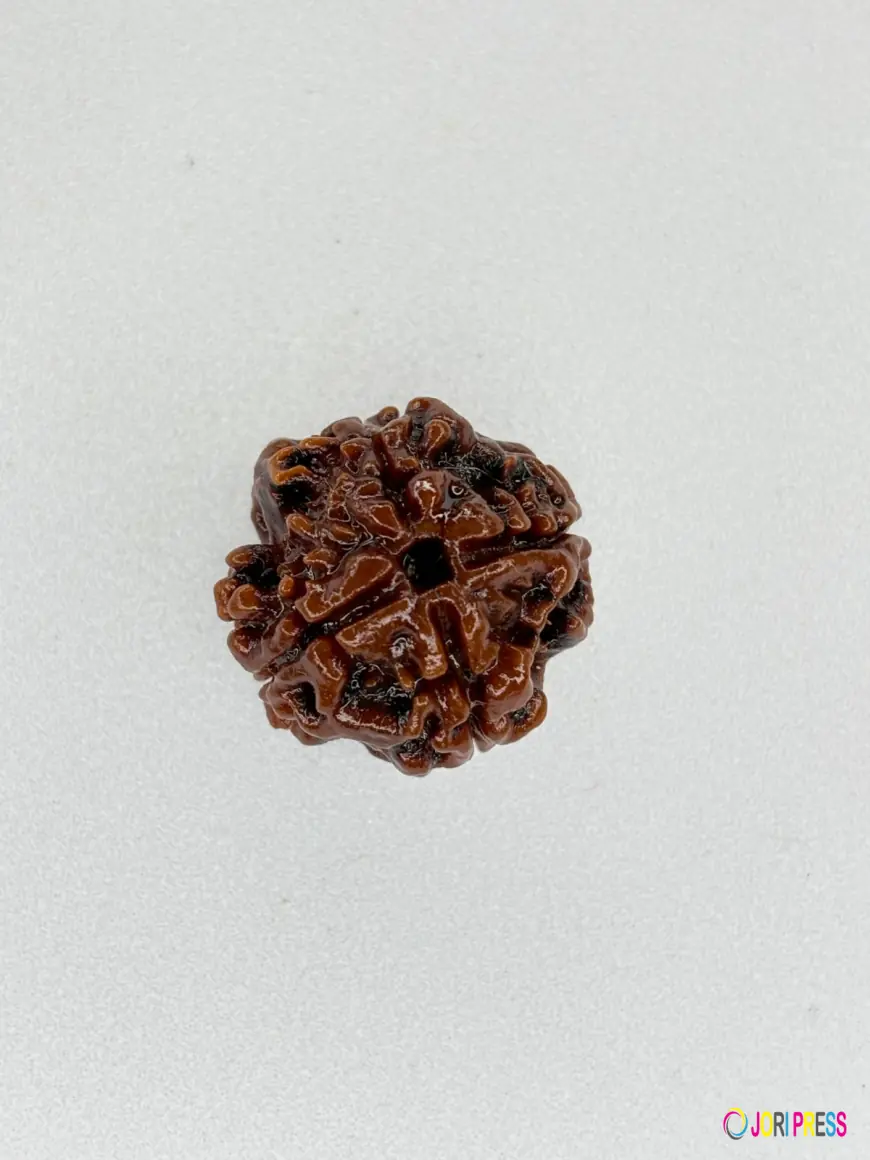 Buy Natural 4 Mukhi Rudraksha Nepali Bead – Certified