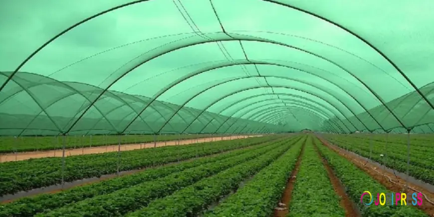 Agricultural textiles market forecast predicting growth trends and future opportunities worldwide