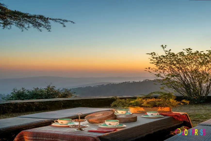 Discover Peace and Luxury: The Perfect Homestay in Binsar at Mary Budden Estate