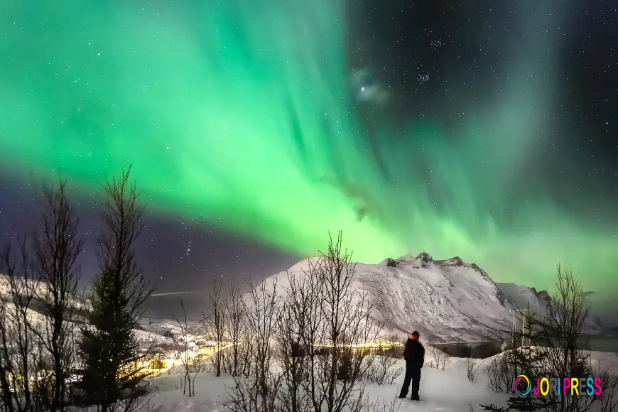 Finland Tour Packages with Aurora Treehouse Stay