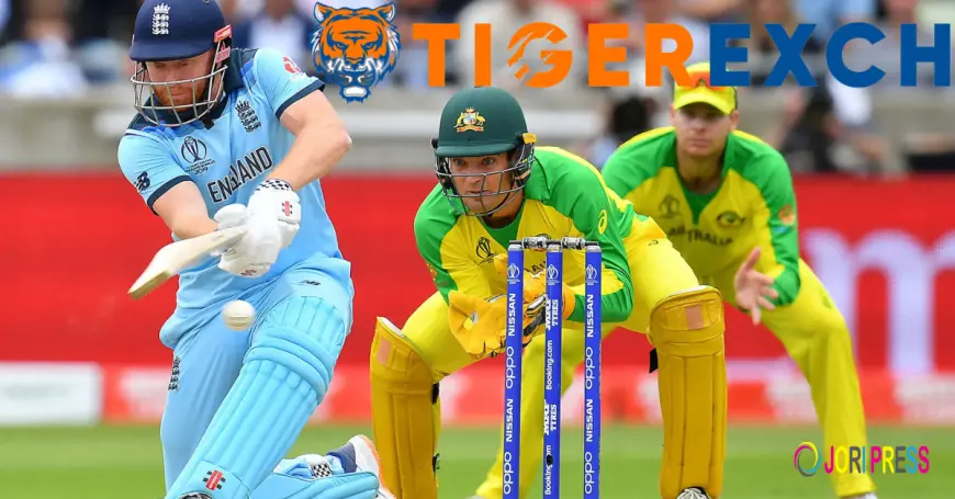 “Your Ultimate Guide to Tiger365.pro