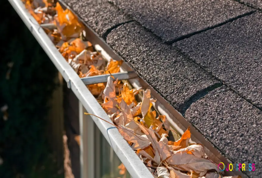 Top Tips for Cleaning and Maintaining Your Rainwater Gutter Pipes
