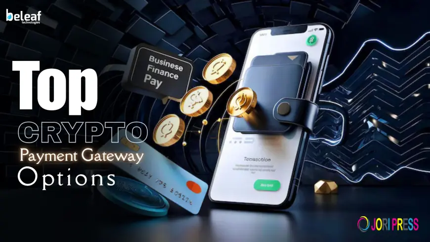 What Are the Top Crypto Payment Gateway Options for Converting Crypto to Fiat?
