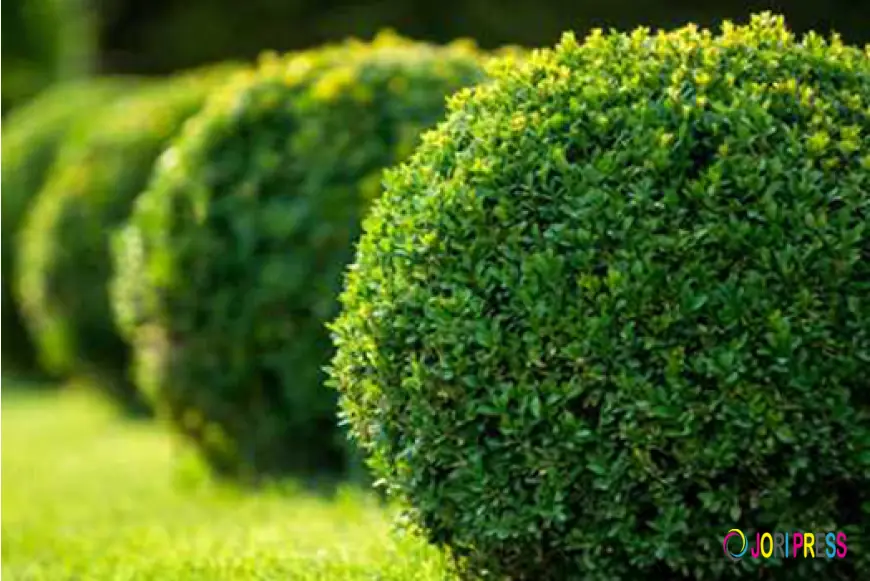 Cement Cubing Service in Salt Lake City with 28 years of experience