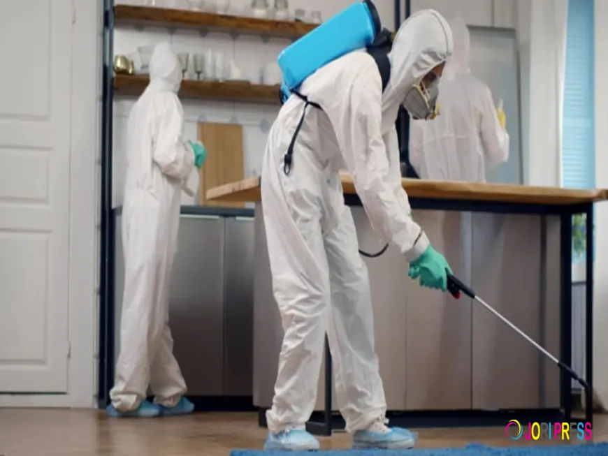 How to Get Rid of Common Household Pests in Dubai?