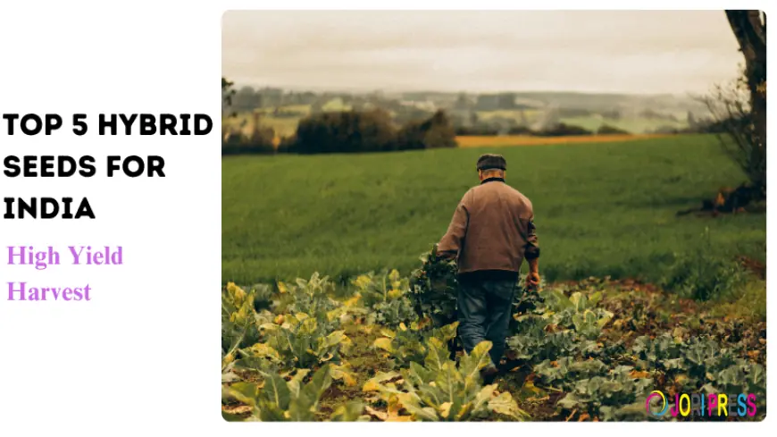 Top 5 Hybrid Seeds for India | High Yield Harvest