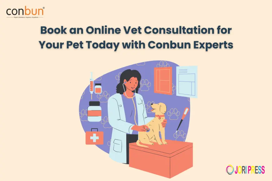 Book an Online Vet Consultation for Your Pet Today with Conbun Experts