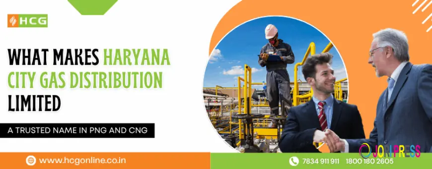 What Makes Haryana City Gas Distribution Limited a Trusted Name in PNG and CNG