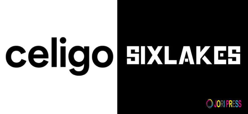 Celigo NetSuite Integration Services | SixLakes Consulting