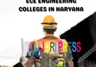 Best ECE Engineering Colleges in Haryana | NIILM University – Future-Ready Education