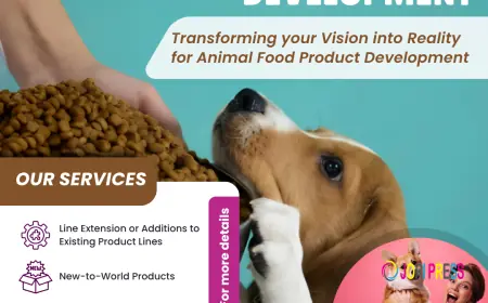Innovation in Pet Food Product Development: Elevating Nutrition for Dogs and Cats