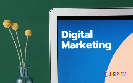 Local SEO Secrets: How to Rank Higher in Your City and Attract Real Customers