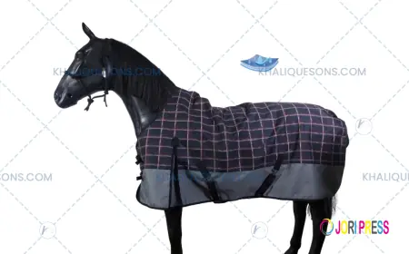Premium Horse Rug Manufacturers – Khalique Sons Internationa.