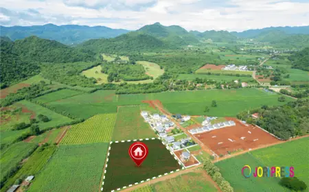 Subdivision Challenges in Warkworth: What Every Landowner Should Know Before Starting a Project