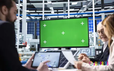 Digital Commerce Solution: The Future of Online Business Transformation in 2025