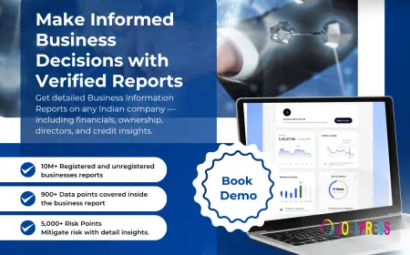 How to Check Your Business Credit Reports ?