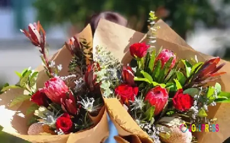 Fresh Blooms, Fast Delivery – Your Trusted Florist