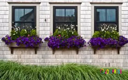 How Do You Choose the Right Patio Paver Installation Company?