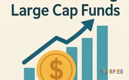 Understanding Large Cap Funds: A Safer Path to Steady Growth