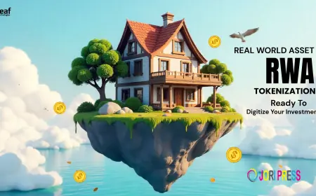 A Beginner’s Guide to Understanding Real World Asset Tokenization Platforms