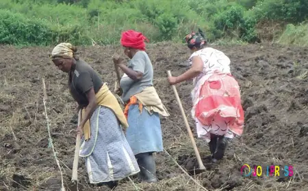 Escaping Poverty: One Woman’s Struggle and the Path to Quick Financial Success