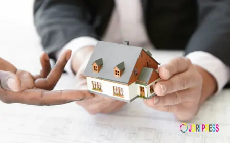 Residential Conveyancing in Lismore – A Homebuyer’s Guide