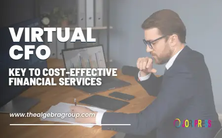 What is a Virtual CFO and Why Does Your Business Need One?