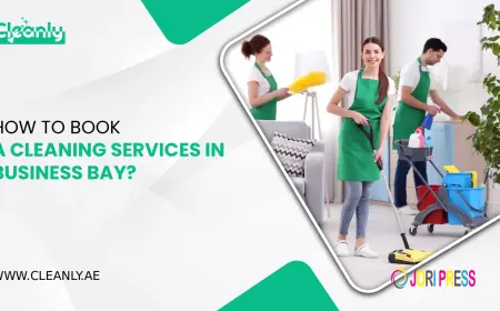 Professional Cleaning Services in Business Bay
