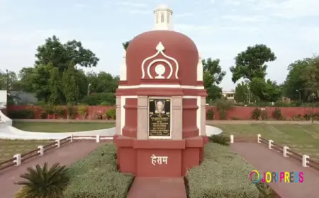 Car rental Gandhidham