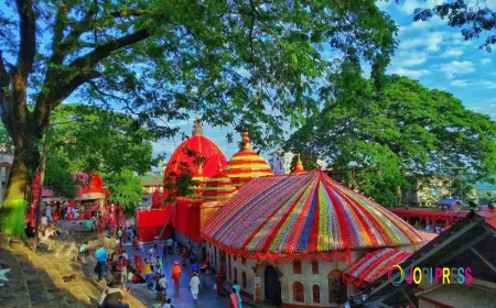 Car rental in Guwahati