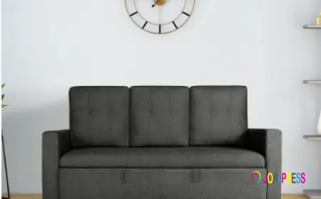 Buy Sofa Cum Bed Online | Best Sofa Cum Bed Price