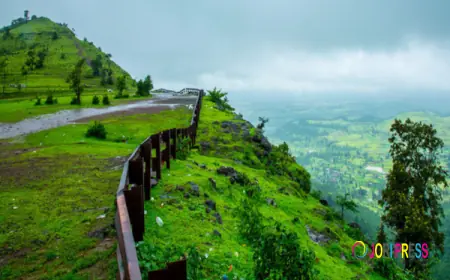 Surat to Saputara Cab