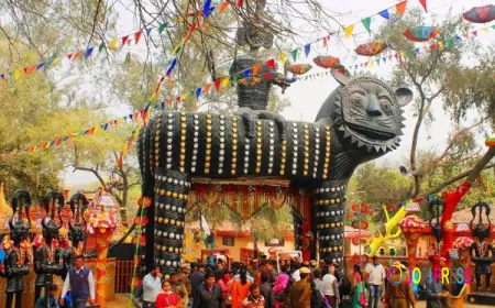 Taxi Service Faridabad