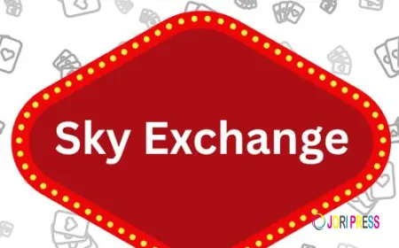 What Is Sky Exchange? Complete Guide for Beginners