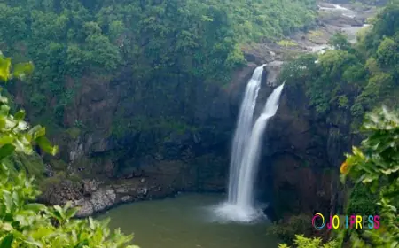 Siliguri Taxi Service