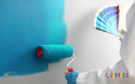 Zoomer Painting Presents Professional Exterior Painting Services in Melbourne