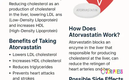 What Is Atorvastatin? The Benefits, Uses, Dosage, And Side Effects