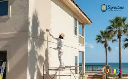 House Painting Costs in Corpus Christi: What You Should Know