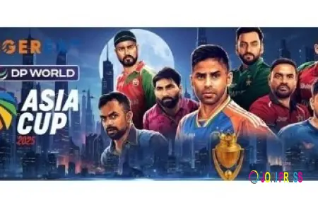 Tiger365 Pro online – Unleash the Power of Real Gaming!