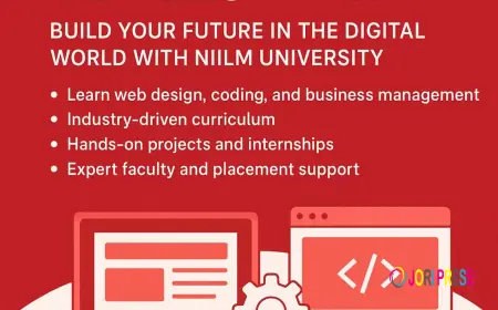 BBA in Web Development: Build a Dynamic Career in the Digital Era | Niilm University